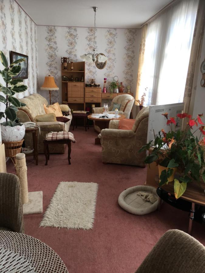 Ferienwohnung Bunte Stadt An Der Elde Grabow  Ngoại thất bức ảnh